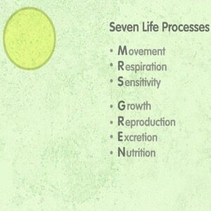 life-process