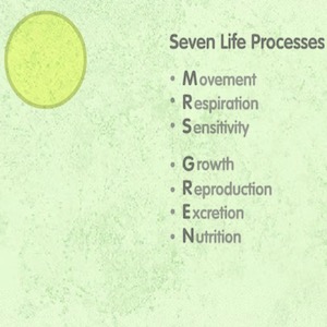 life-process