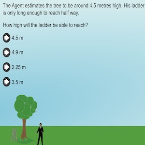 solving-decimal-problem